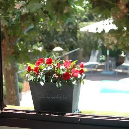 Mas De Baix 4* カブリルス